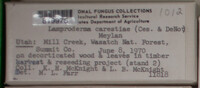 Image Associated With the Occurence